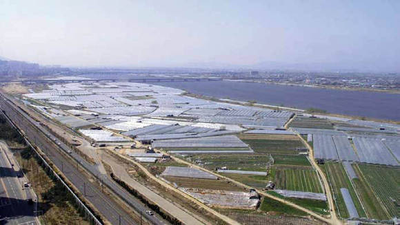 ▲ 최근 생태하천 준공식을 가진 낙동강 화명지구의 과거 모습. 이 지구는 최근 비닐하우스를 철거해 농사를 중지한 게 아니라 지난 2007년 착공을 했던 곳이다.ⓒ