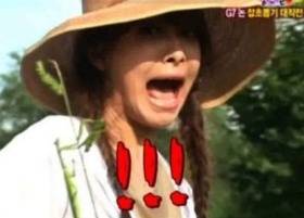 ▲ KBS 방송 캡처