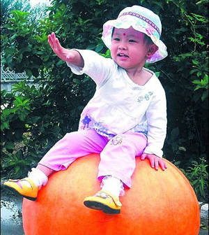 ▲ 성인 남성의 몸무게만한 초대형 호박ⓒ온바오닷컴