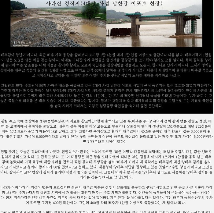 ▲ 배추값 관련 논리 비약과 엉뚱한 거친 표현 등이 담긴 한 블로그의 글ⓒ