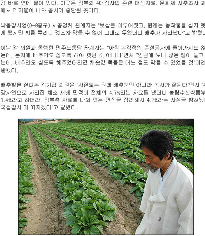 ▲ 강기갑의원이 배추밭을 방문한 내용을 보도한 한 매체에 실린 사진. 배추가 출하되려면 한참 남은 것을 알 수 있다.ⓒ