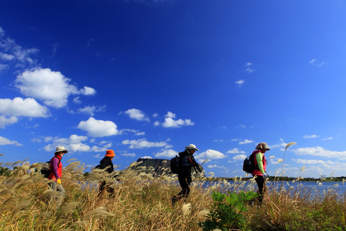 ▲ 제주 올레길ⓒ강대봉