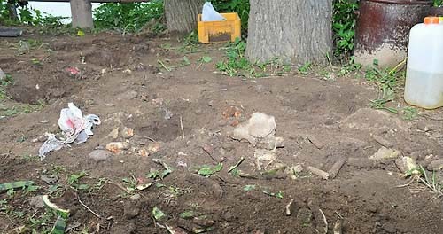 ▲ '4대 강 사업 중단'을 촉구하며 경기도 여주군 남한강 이포보에서 열흘이 넘도록 농성 중인 환경단체가 강변 인근 공원에 음식물 쓰레기를 불법 매립한 것으로 드러났다. 여주군은 8월 3일 환경단체가 이포보 인근 장승공원에 설치한 현장상황실 주변의 쓰레기 처리 실태를 점검한 결과 수박 껍질과 옥수수 등 3~5㎏의 음식물 쓰레기를 제대로 처리하지 않고 강변에 매립한 것으로 드러났다고 밝혔다. ⓒ연합뉴스