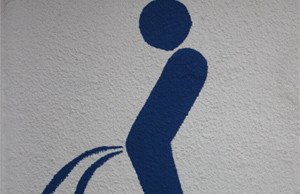 ▲ 노상방뇨를 하던 40대 남성이 조준을 잘못해 벌에 쏘여 죽을 뻔한 사건이 발생했다ⓒ자료사진