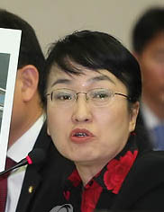 ▲ 김진애 의원.