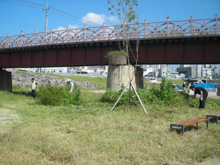 ▲ 대천천 폐선철도를 생태공간으로 복원한 현장에서 관계자들이 잡초를 정리하고 있다.ⓒ