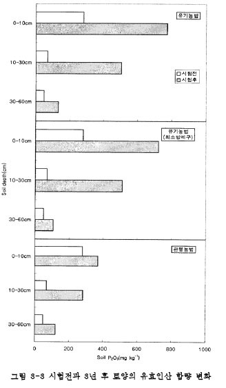 ▲ 유기농과 관행농법 3년후 토양의 유효인산 함량변화 그래프. 유기농쪽이 관행농보다 수치가 상당히 높다.ⓒ
