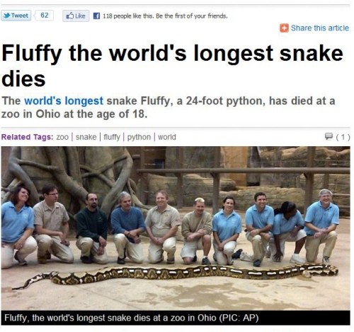 ▲ 세계에서 가장 긴 뱀 사망ⓒ메트로(metro)캡처
