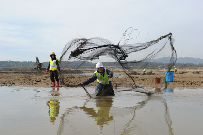 ▲ 한강 3공구 2차 공사를 앞두고 가물막이 안에서 물고기를 포획하고 있는 구조원들. 4대강사업이 한창 진행중이지만 강물엔 물고기가 줄지 않고 오히려 늘었다는 것이 현장 관계자의 일반적인 얘기다.
