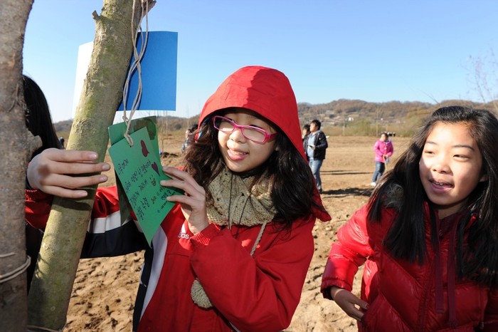 ▲ 매류초등학교 어린이들이 자기가 심은 나무에 소망카드를 매달고 있다.