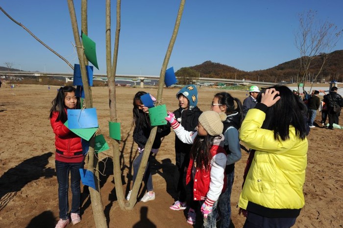 ▲ 소망카드를 매달고 있는 매류초 3학년 어린이들.