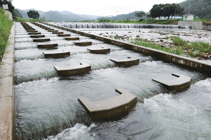 ▲ 충남 대전시 우영교 상류 영골보에 설치된 어도에 맑은 물이 기운차게 흐르고 있다. 영골보는 고무로 만들어져 수위에 따라 보 높이가 자동으로 바뀐다.