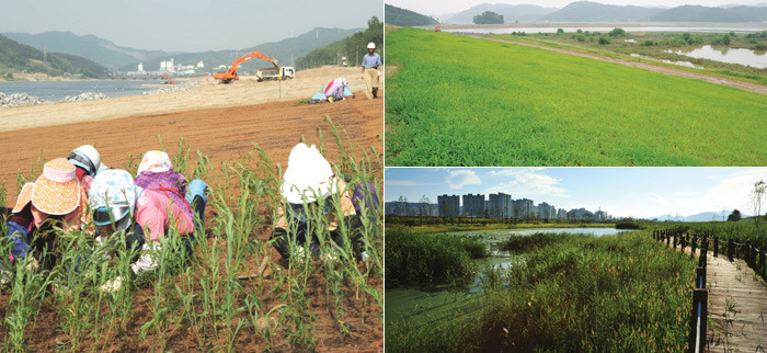 ▲ [좌측] 세종2공구 한글공원 저수추이대에 자정기능이 강한 수생식물을 조성중이다.  [우측상단] 세종2공구 한나래공원 예정지. 완경사로 보축이 완료된 월산2제 제방에 식생된 매트에서 잔디들이 활착돼 푸른 빛을 띠고 있다.  [우측하단] 전남 목포시 옥암지구는 정자와 산책로가 있으며 소나무와 꽝꽝나무 등 각종 수목이 울창해 주민들의 사랑을 받고 있다.
