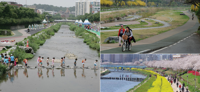 ▲ [좌측] 여름이면 아이들의 즐거운 놀이터가 되고 있는 성내천.  [우측 상단] 성내천 주변의 자전거도로는 송파구민들이 즐겨 찾는 곳이다. [우측 하단] 벚꽃이 만개한 봄날, 온천천을 거닐며 봄의 정취를 만끽하는 부산 시민들