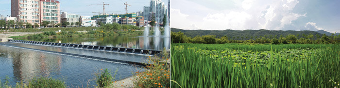▲ [좌측] 대구 신천에 설치된 가동보  [우측] 경안천 생태공원은 팔당호로 흘러들어가는 물을 정화시킬 뿐 아니라 빼어난 풍광도 자랑한다.