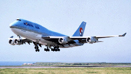 ▲ ⓒ대한항공 홈페이지