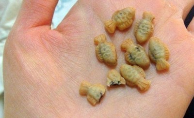 ▲ 인터넷에 공개 된 초미니 붕어빵 사진이 네티즌의 관심을 끌고 있다. ⓒ네이버 블로그'작은 세상의 행복(http://blog.naver.com/szreeart)'