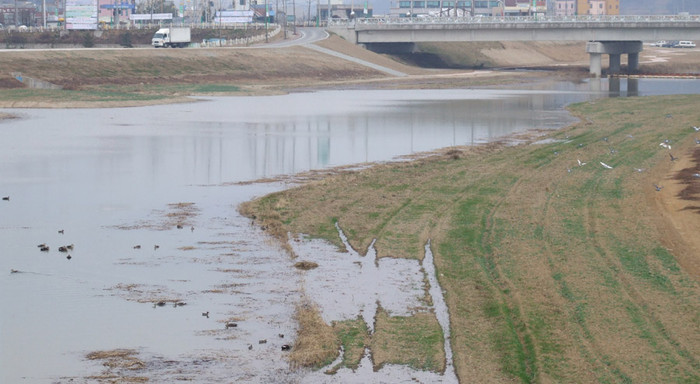▲ 둔치의 콘크리트 구조물을 걷어내고 자연형으로 바꾼 함평천 모습.