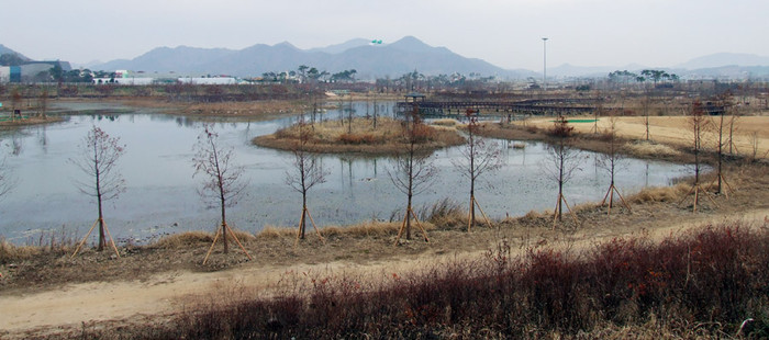 ▲ 함평천 저류지공원내 연못. 오른쪽 뒤로 골프장이 보인다.