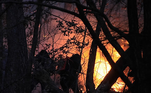 ▲ 삼척에서 발생한 산불이 4일 오전 진화돼 잔불 정리작업을 벌이고 있다. ⓒ 연합뉴스
