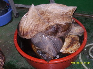 ▲ 범행 현장에서 발견된 흑마늘 제조 과정의 비위생적인 모습ⓒ서울시