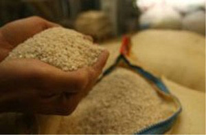 ▲ 플라스틱 가짜 쌀.ⓒ위클리홍콩 캡처