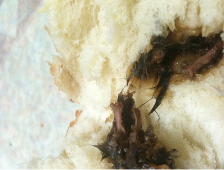 ▲ 검찰이 쥐식빵 사건에 대해 제 3자의 개입여부를 수사중인 것으로 알려졌다. ⓒ 디시인사이드