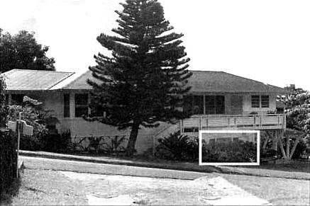 ▲ 하와이 마키키街의 살림집.