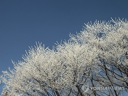 ▲ 19일 전국 대부분 지역의 아침 기온이 영하 10도를 웃돌며 기록적인 한파가 다소 누그러지겠다.ⓒ연합뉴스