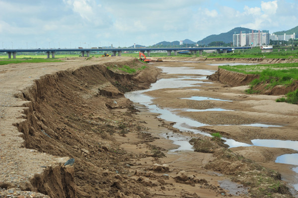 ▲ 지난해 7월 나주시 금천면 원공리 영산강 준설현장. 점토질이 많은 퇴적토가 너무 쌓여 강바닥이 거의 들판같은 느낌이 든다.
