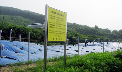 ▲ 충주시의 구제역 매몰지.