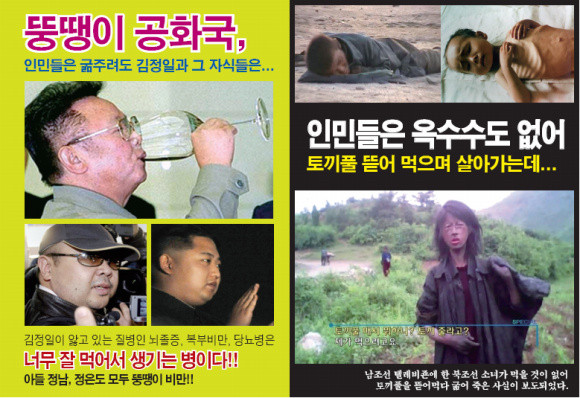 ▲ 오는 16일 김정일 국방위원장의 생일에 맞춰 북으로 날리는 대북전단 뒷장. ⓒ 뉴데일리