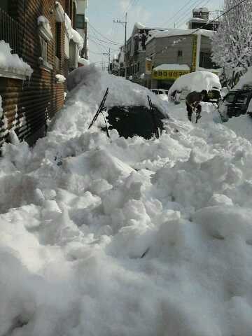 ▲ 강원도 강릉지역에 내린 눈으로 시민들의 차가 고립됐다. ⓒ 뉴데일리