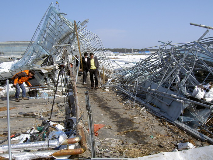 ▲ 강원도 강릉시 연곡면에 소재한 파프리카 농장의 비닐하우스가 무너져 있다. ⓒ뉴데일리