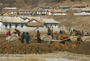 ▲ 절반 이상의 북한 주민들이 ‘당장이라고 남한으로 가겠다’는 의사를 밝혔다. 사진은 북한의 농사 짓는 모습.ⓒ자료사진