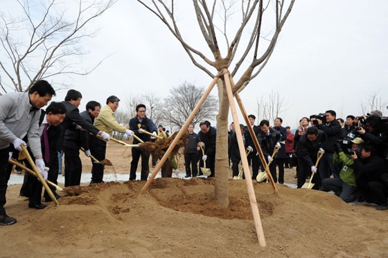 ▲ 22일 오후 경북 고령군 다산면 호촌리 강변에서 '낙동강 고령숲' 공원 조성 나무심기 행사가 열렸다. 이날 행사에서 곽용환 고령군수(왼쪽에서 다섯번째), 정병국 문화체육관광부장관, 김관용 경상북도지사가 기념식수를 하고 있다.ⓒ노용현 기자
