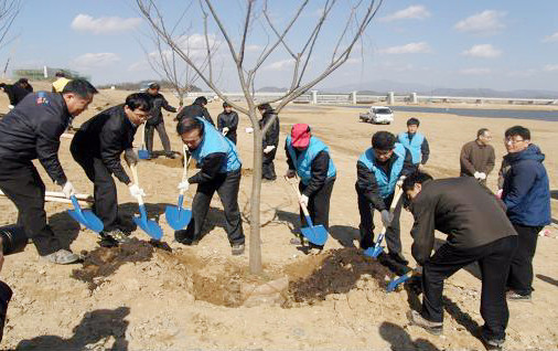 ▲ 25일 영산강 나주 승촌보 현장에서 수자원공사 직원들이 나무를 심고 있다.