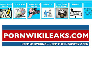 ▲ '포르노 위키리크스'.ⓒ프레스1 캡처