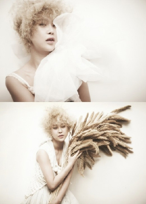 ▲ 백지영이 파격적인 앨범 재킷 사진을 공개해 화제다. ⓒWS엔터테인먼트