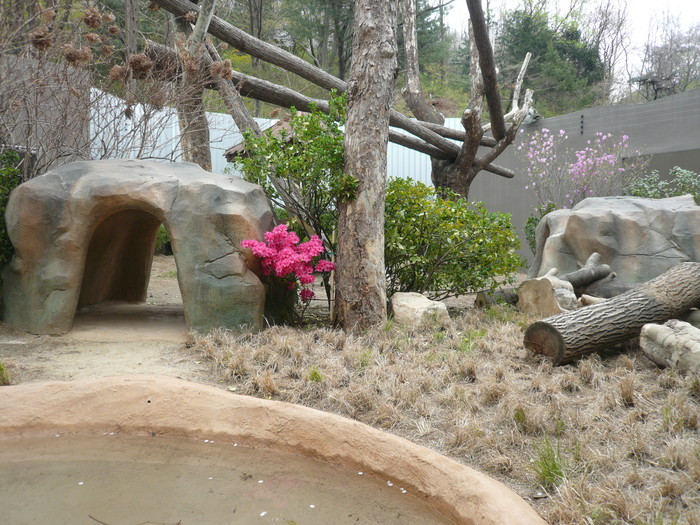 ▲ 서울시대공원이 말레이곰 꼬마를 위해 마련한 새 보금자리 모습ⓒ서울시