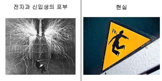 ▲ '전자과 학생들의 대학생활'.ⓒ디시뉴스 캡처