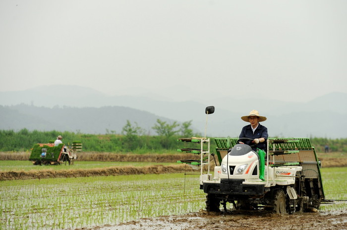 ▲ 이명박 대통령이 26일 충북 충주시 주덕읍 화곡리 한 농민의 논에서 이앙기로 모를 심고 있다.ⓒ청와대