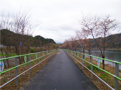 ▲ 붕어섬 자전거도로 조성지. ⓒ뉴데일리