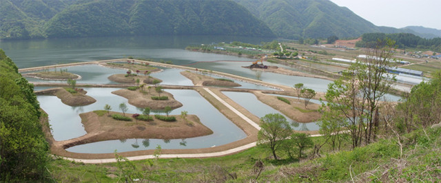 ▲ 화천 연천리 연꽃단지. ⓒ뉴데일리