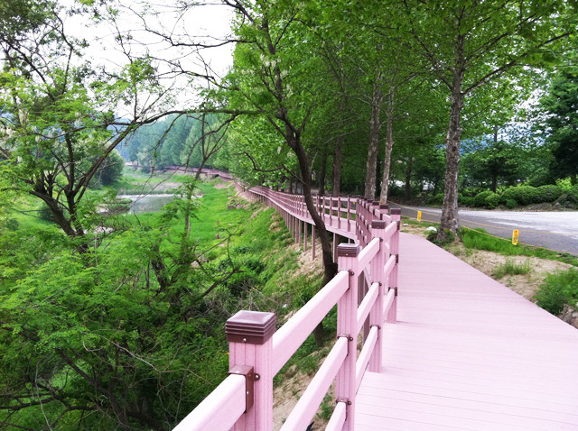 ▲ 섬강 자전거도로는 주변의 빼어난 경치로 어느 곳에서 사진을 촬영해도 작품이 나온다. ⓒ뉴데일리