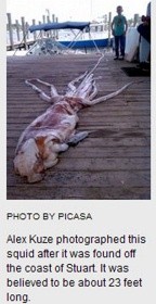 ▲ 사진 = 인터넷 이미지 캡쳐.