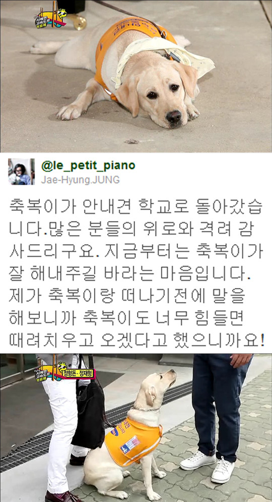 ▲ 정재형-축복이 작별 ⓒ 사진-무한도전 캡처, 글-정재형 트위터