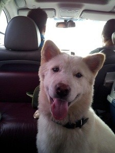 ▲ ⓒ엄태웅 트위터