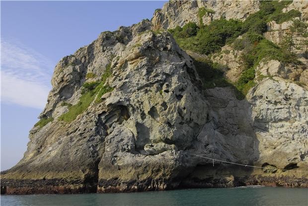 ▲ 보든아기섬에 벌집모양으로 만들어진 타포니ⓒ