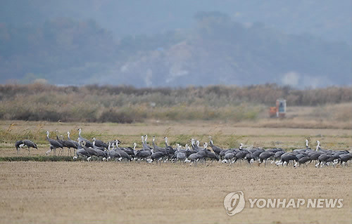 ▲ 순찬만 자연생태공원 ⓒ연합뉴스